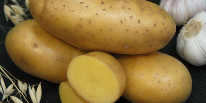 Семена картофеля: сорта столовые и кормовые, ранние и среднепоздние